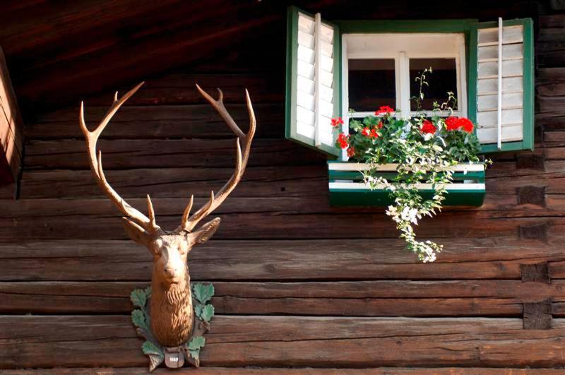 Hotel Gasthof Markterwirt アルテンマルクト・イム・ポンガウ エクステリア 写真